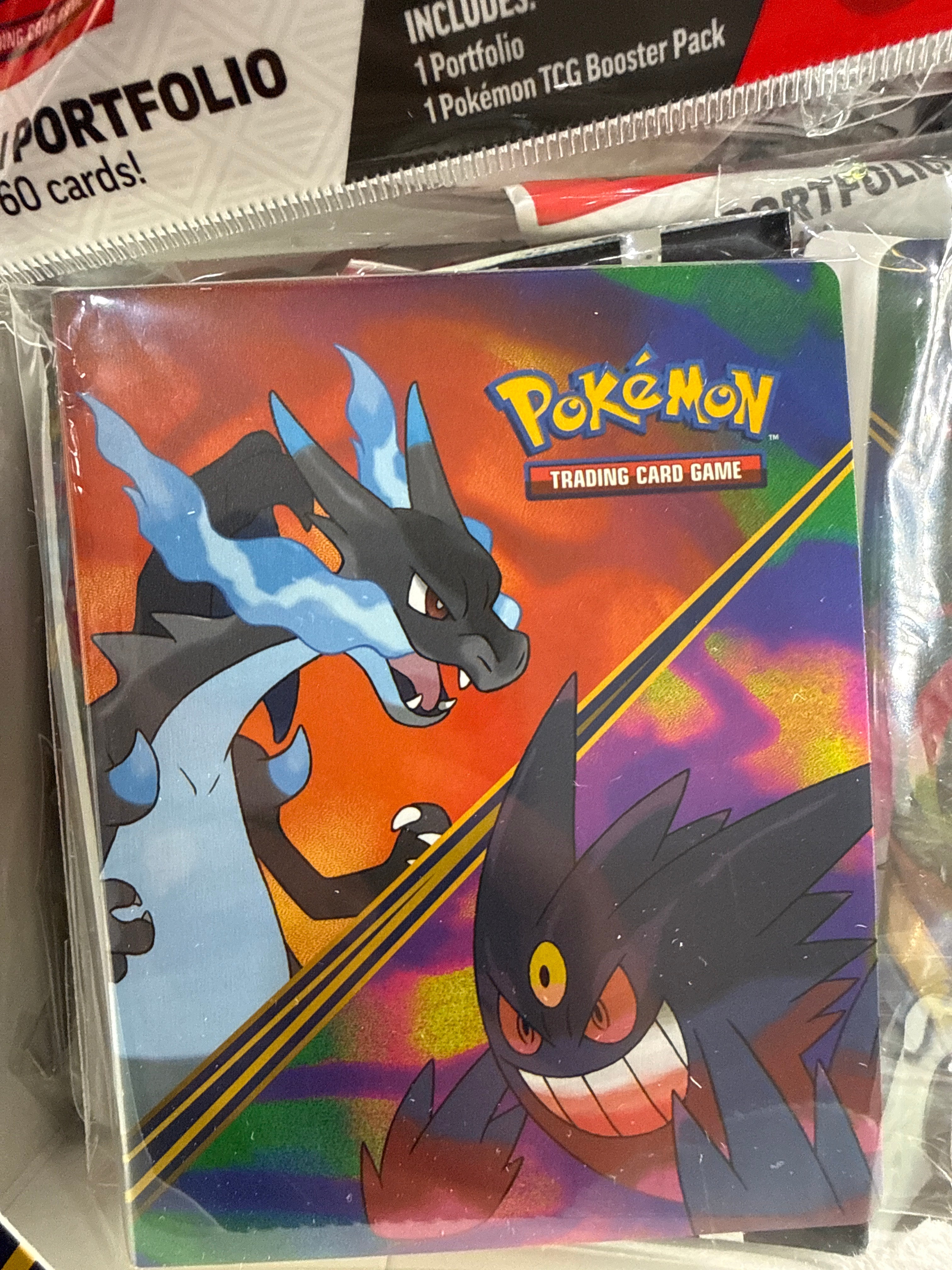 Charizard and Gengar mini portfolio